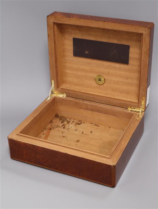 The Griffins humidor